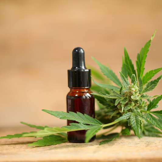 ¿Qué es el CBD y por qué está revolucionando el bienestar?