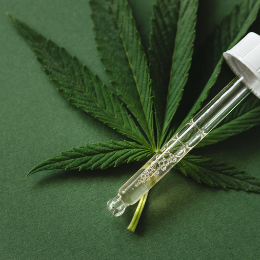 CBD Aislado, Amplio Espectro y Espectro Completo: ¿Cuál es la Diferencia y cuál es ideal para ti?