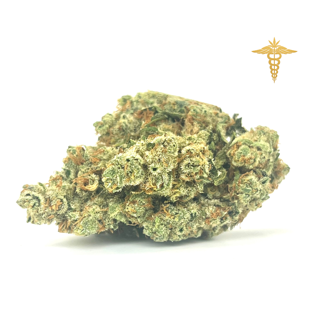 Esta genética mítica destaca por un perfil profundamente terroso y amaderado, acompañado de un fondo cítrico fresco que realza su carácter inconfundible. Su fragancia equilibrada y potente ofrece una experiencia aromática limpia y clásica.