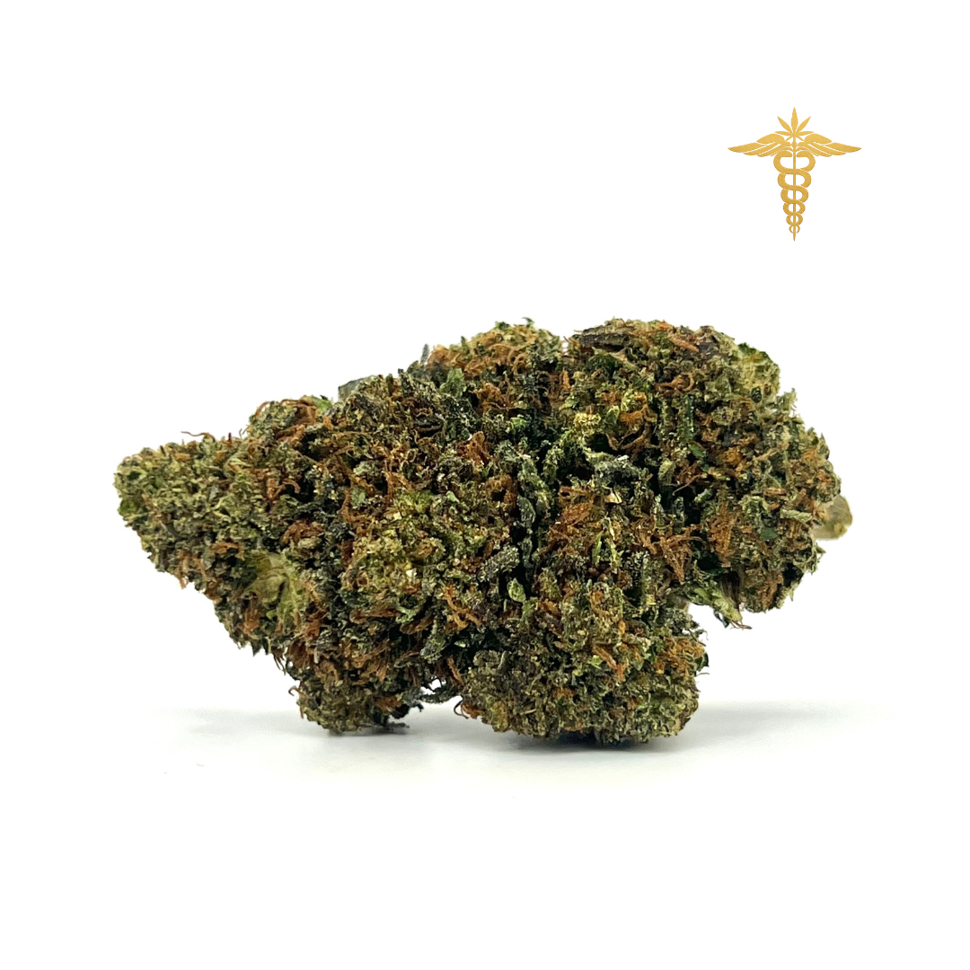 La JOKERZ destaca por su aroma intenso y complejo, que combina notas terrosas, herbales y especiadas, acompañado de delicados toques a skunk y un fondo aromático dulce a limón que aporta un toque de frescura. Algunos entendidos afirman que incluso recuerda a las notas de la mítica genética Diésel, lo que la convierte en una flor con gran personalidad.