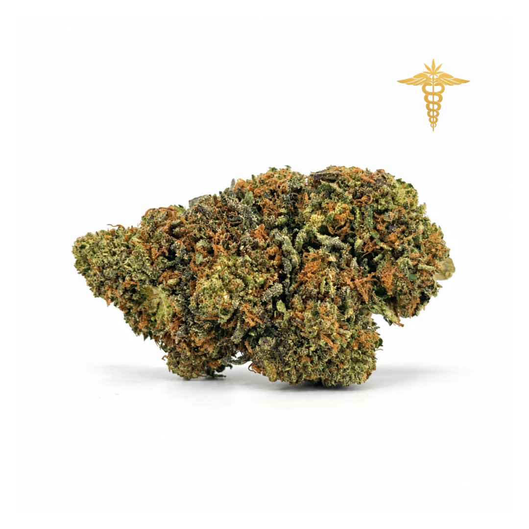 La JOKERZ destaca por su aroma intenso y complejo, que combina notas terrosas, herbales y especiadas, acompañado de delicados toques a skunk y un fondo aromático dulce a limón que aporta un toque de frescura. Algunos entendidos afirman que incluso recuerda a las notas de la mítica genética Diésel, lo que la convierte en una flor con gran personalidad.