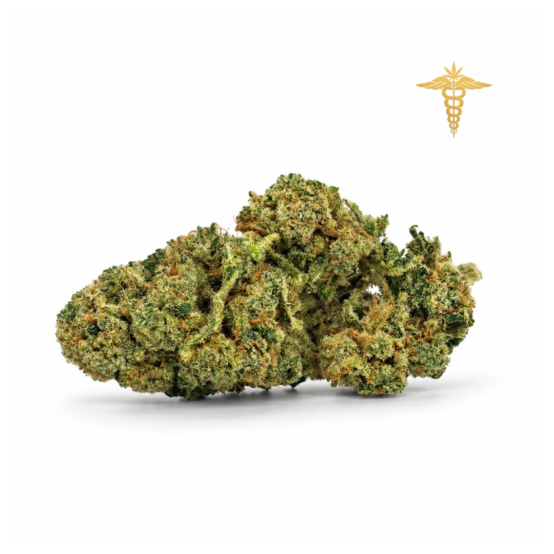 Manresa Queen es una genética excepcional que representa la elegancia dentro de nuestra colección más exclusiva. Su perfil aromático se define por un cítrico protagonista que recuerda al zumo de limón recién exprimido, acompañado de un dulzor suave y perfectamente integrado que envuelve el conjunto sin resultar pesado. A este equilibrio se suman ligeros matices terrosos que aportan profundidad, dando lugar a un aroma fresco, limpio y sofisticado.