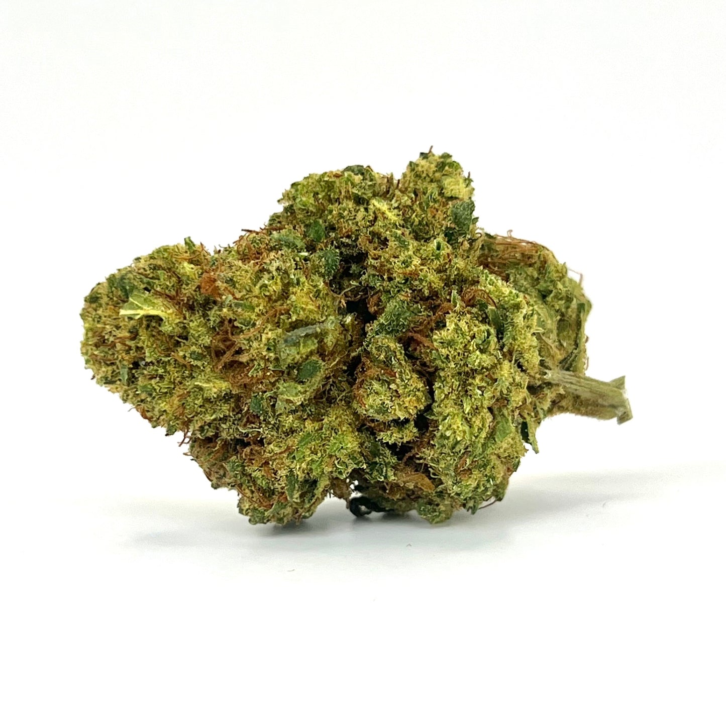 La flor Super Lemon Haze, cultivada en entorno Glasshouse, destaca por su perfil aromático marcado por notas afrutadas a limón fresco y un fondo ligeramente herbal. Esta genética mítica desprende un aroma vibrante y penetrante, cuya intensidad cítrica es cortesía del terpeno limoneno, responsable de ese característico frescor a limón recién cortado.