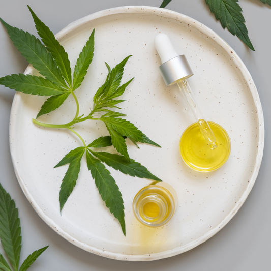 ¿Qué es el CBN? Descubre el cannabinoide del descanso y la recuperación