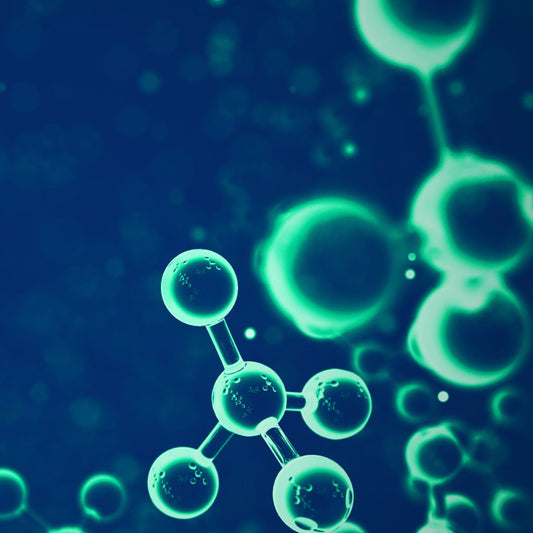 El Sistema Endocannabinoide: ¿Qué es y Cómo Funciona?