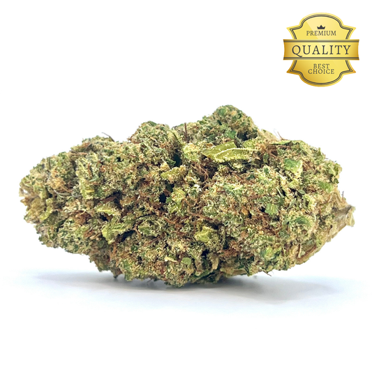 Esta flor destaca por su aroma complejo y lleno de carácter , con notas frutales de fruta madura que se entrelazan armoniosamente con un perfil terroso muy notable . Además, cuenta con un toque sutilmente cítrico que añade frescura y equilibra su fragancia intensa y robusta. Cultivada mediante técnicas hidropónicas y con fibra de coco , Black Russian garantiza calidad superior y sostenibilidad en su proceso de producción.