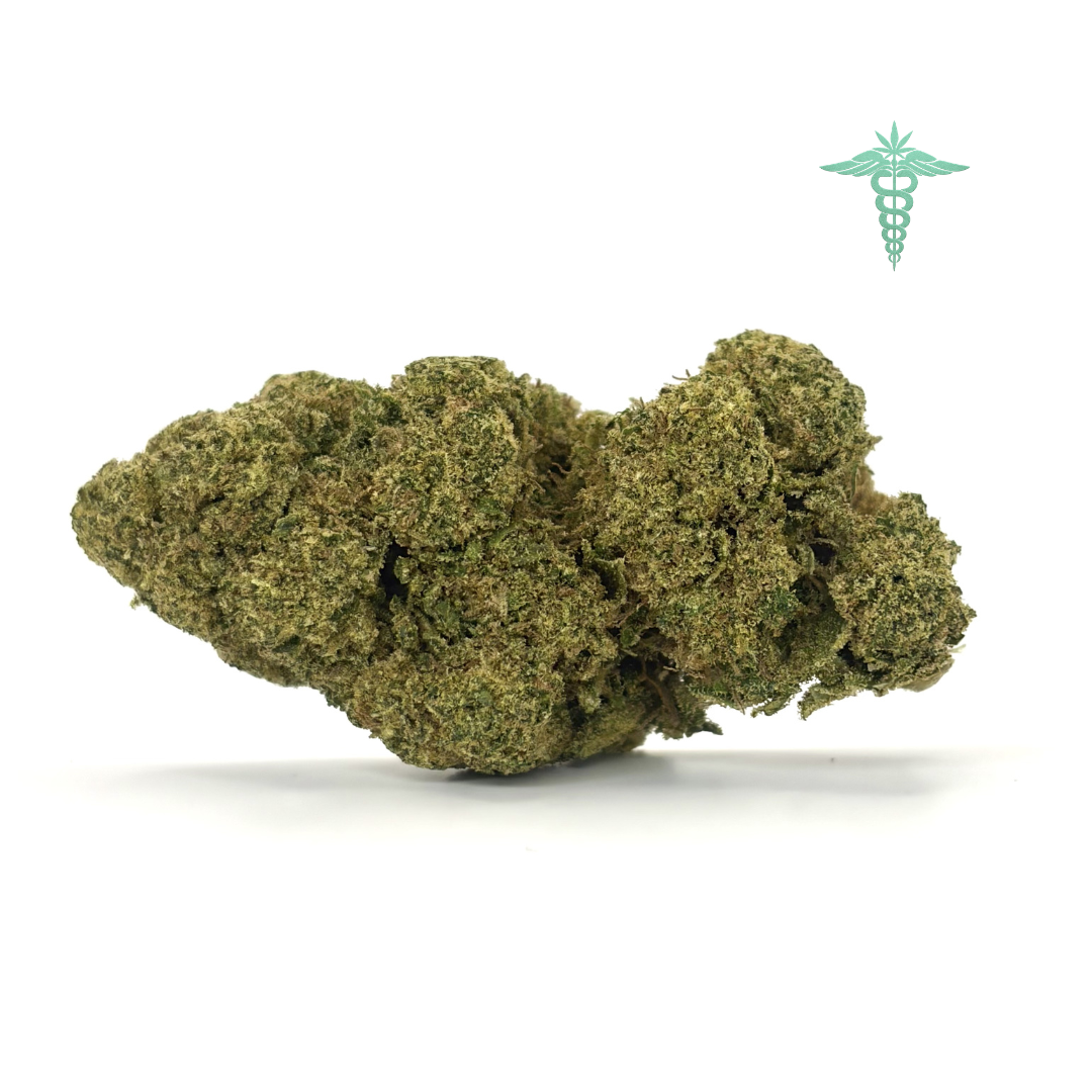 Candy Kush es una genética reconocida por su perfil aromático intensamente dulce, donde destacan notas afrutadas y azucaradas que recuerdan a golosinas, equilibradas con sutiles toques terrosos que realzan su profundidad. Sus cogollos densos y pegajosos reflejan una selección cuidada, ofreciendo una presencia visual atractiva y una experiencia aromática envolvente.