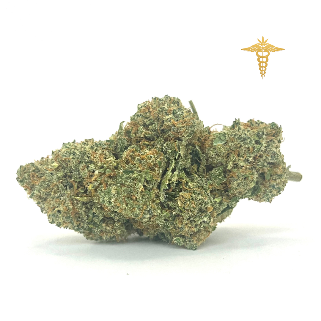 Gelonade es una genética muy conocida que destaca por un perfil aromático dulce-frutal, con matices que recuerdan a la naranja, la lima y la granada recién exprimida. Sus sutiles notas terrosas realzan la experiencia y aportan una profundidad equilibrada, fresca y envolvente.