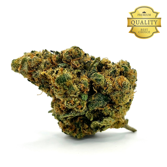 Esta flor destaca por su aroma dulce, afrutado y envolvente , donde los toques especiados se entrelazan armoniosamente con matices dulces. Cultivada mediante técnicas hidropónicas y con fibra de coco , Harley Queen ofrece una calidad superior gracias a su proceso de cultivo controlado y sostenible.