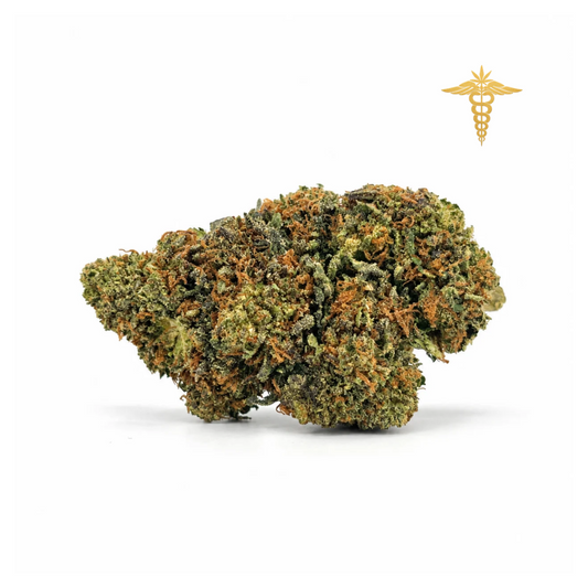 La JOKERZ destaca por su aroma intenso y complejo, que combina notas terrosas, herbales y especiadas, acompañado de delicados toques a skunk y un fondo aromático dulce a limón que aporta un toque de frescura. Algunos entendidos afirman que incluso recuerda a las notas de la mítica genética Diésel, lo que la convierte en una flor con gran personalidad.