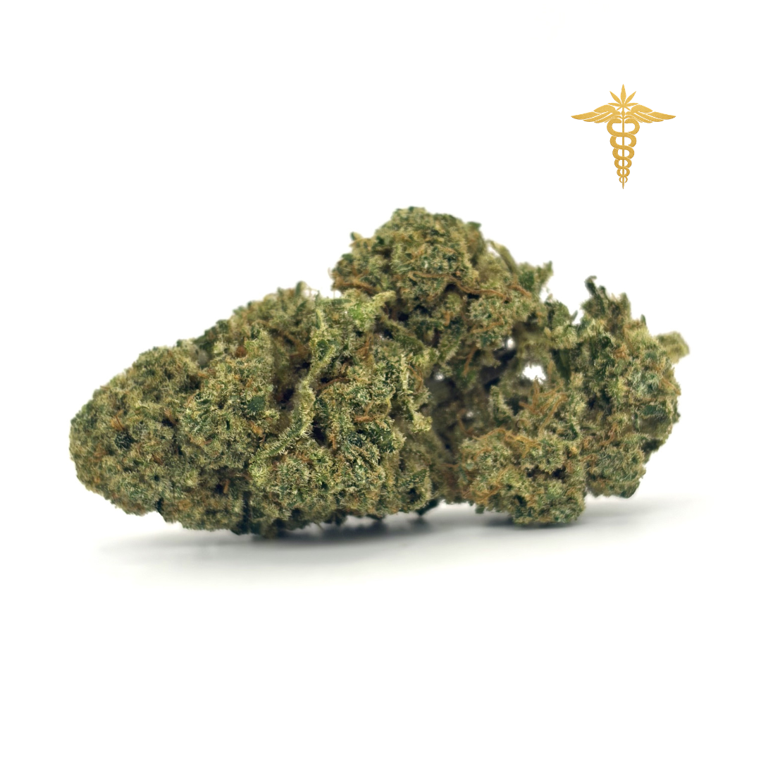 Manresa Queen es una genética excepcional que representa la elegancia dentro de nuestra colección más exclusiva. Su perfil aromático se define por un cítrico protagonista que recuerda al zumo de limón recién exprimido, acompañado de un dulzor suave y perfectamente integrado que envuelve el conjunto sin resultar pesado. A este equilibrio se suman ligeros matices terrosos que aportan profundidad, dando lugar a un aroma fresco, limpio y sofisticado.