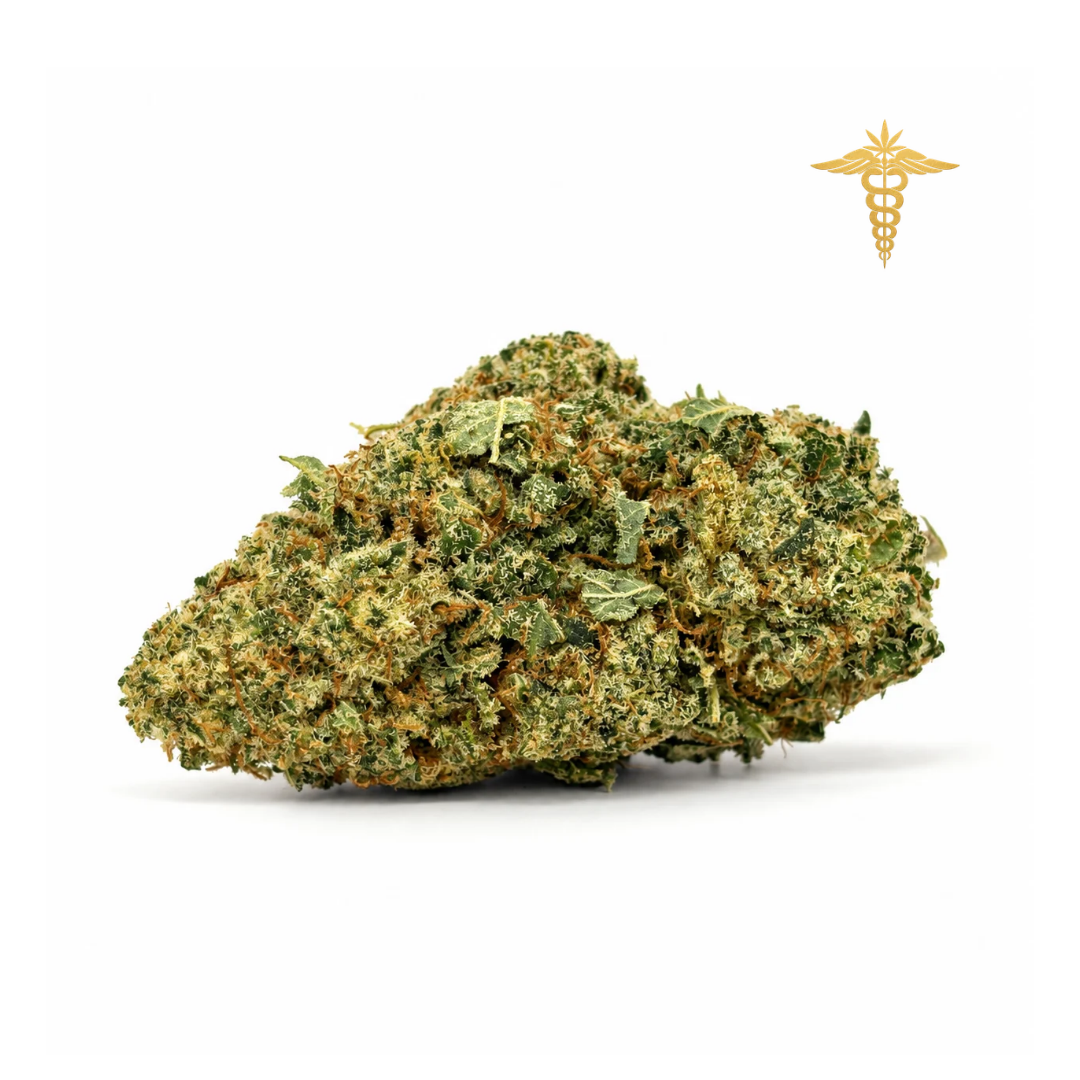 Manresa Royal es una genética excepcional que nace para representar la esencia más alta de nuestra selección. Inspirada en perfiles tropicales de gran intensidad, esta flor despliega un aroma envolvente donde predominan notas de fruta tropical madura, acompañadas de un fondo terroso vibrante y matices dulces profundamente florales y especiados. Todo ello se completa con un sutil toque especiado que aporta carácter y eleva la complejidad aromática a otro nivel.