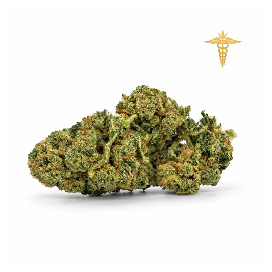 Manresa Queen es una genética excepcional que representa la elegancia dentro de nuestra colección más exclusiva. Su perfil aromático se define por un cítrico protagonista que recuerda al zumo de limón recién exprimido, acompañado de un dulzor suave y perfectamente integrado que envuelve el conjunto sin resultar pesado. A este equilibrio se suman ligeros matices terrosos que aportan profundidad, dando lugar a un aroma fresco, limpio y sofisticado.