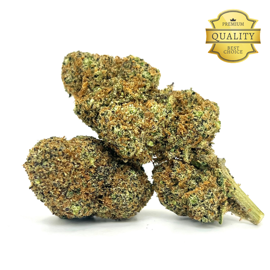 Manresa Royal es la joya de nuestro catálogo. Una flor única que nace del cruce entre dos genéticas legendarias: Purple Punch y Jack Herer. El resultado es un perfil aromático sofisticado, complejo y profundamente elegante.