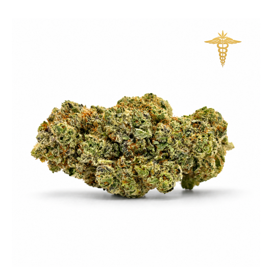 Northern Light destaca por un perfil aromático cálido y envolvente, dominado por notas dulzonas que se combinan con una marcada esencia amaderada. Sus matices se completan con un toque apinado aportado por el terpeno pineno, que añade frescura y equilibrio para una experiencia aromática tan suave como característica.