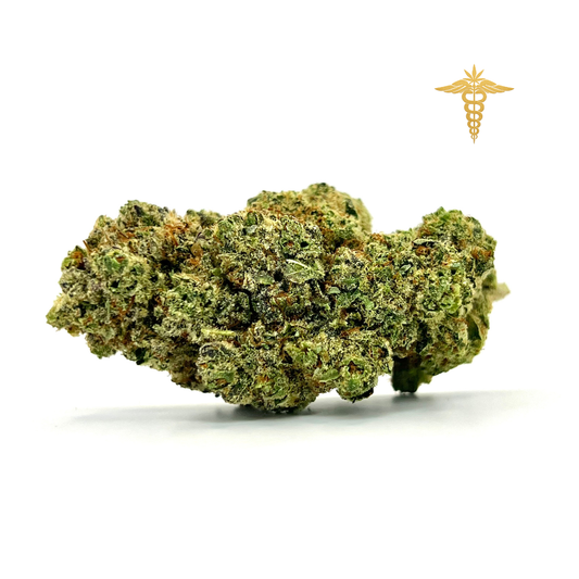 Northern Light destaca por un perfil aromático cálido y envolvente, dominado por notas dulzonas que se combinan con una marcada esencia amaderada. Sus matices se completan con un toque apinado aportado por el terpeno pineno, que añade frescura y equilibrio para una experiencia aromática tan suave como característica.