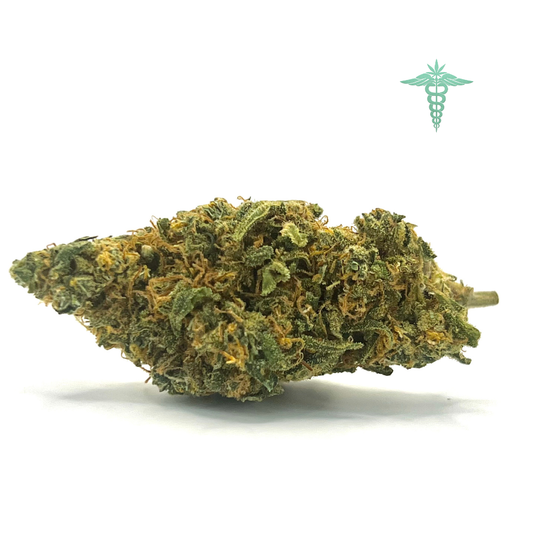 La flor Orangello destaca por su perfil aromático fresco y afrutado, donde las notas de naranja se entrelazan para ofrecer un equilibrio perfecto entre acidez y dulzor.
Una combinación envolvente que convierte cada instante en una experiencia única.