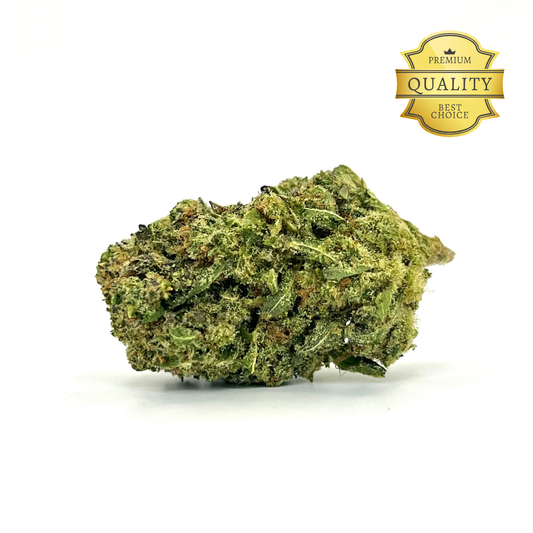 Esta flor destaca por su perfil aromático envolvente, con una fragancia que combina notas dulces y cremosas , acompañadas de sutiles toques de vainilla y café . Sus matices terrosos y especiados aportan una profundidad cautivadora que seduce desde el primer instante. Una flor que invita a descubrir nuevos matices con cada observación.