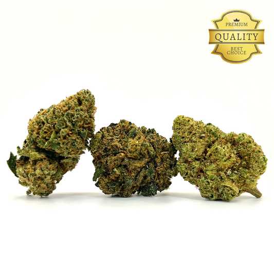 ¡Te presentamos nuestro exclusivo! Pack Degustación Premium , una experiencia sensorial única que te invita a descubrir tres de nuestras flores más destacadas: Mango Haze, Harley Queen y Black Russian . Cada una de ellas ofrece una experiencia aromática distinta, pero igualmente excepcional, combinando calidad, frescura y autenticidad en un solo pack. Y todo esto a un&nbsp;precio especial.