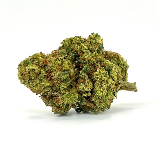 La flor Super Lemon Haze, cultivada en entorno Glasshouse, destaca por su perfil aromático marcado por notas afrutadas a limón fresco y un fondo ligeramente herbal. Esta genética mítica desprende un aroma vibrante y penetrante, cuya intensidad cítrica es cortesía del terpeno limoneno, responsable de ese característico frescor a limón recién cortado.
