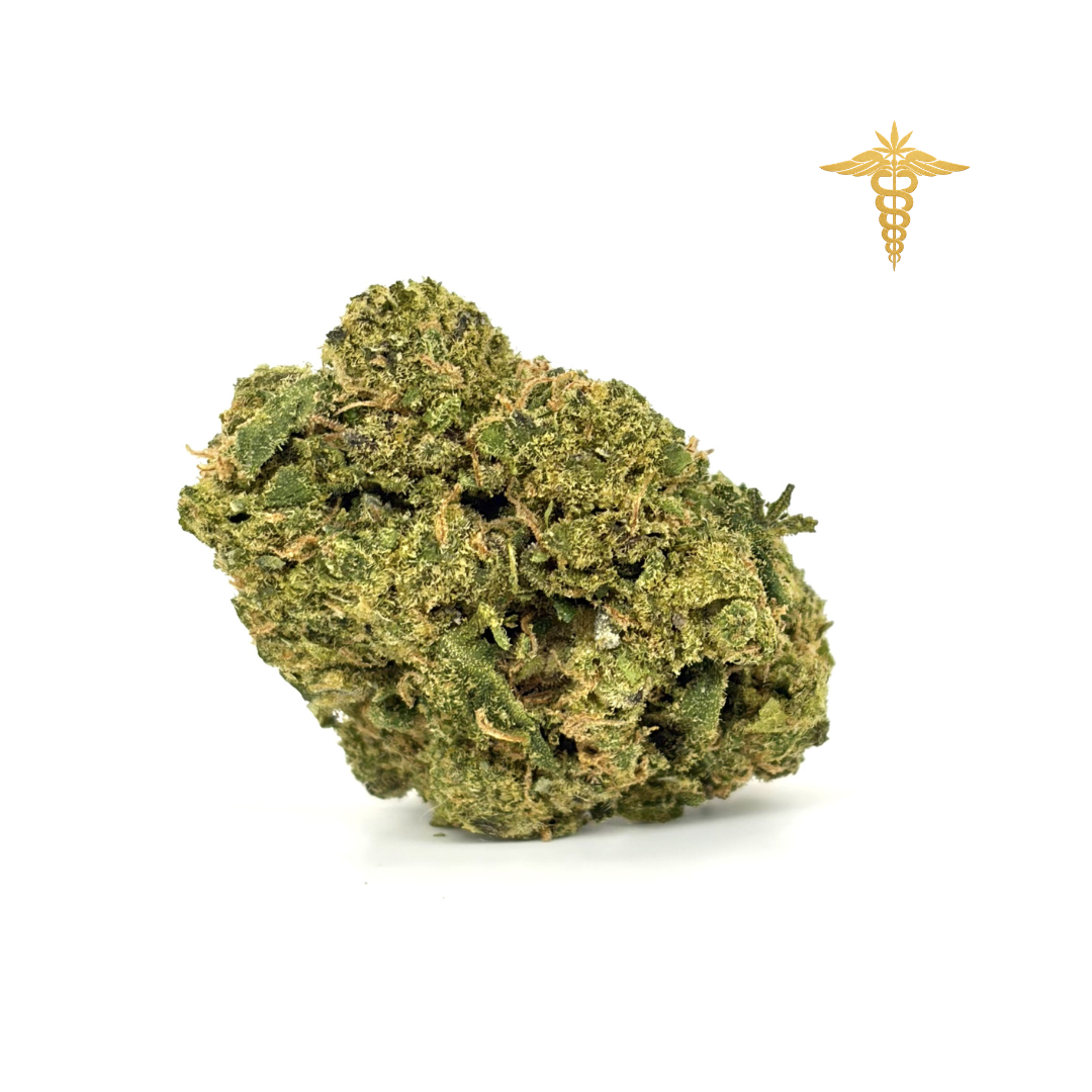 Super Silver Haze es una de las variedades más emblemáticas dentro del mundo cannábico, reconocida por su perfil aromático intenso y sofisticado. Destaca por una combinación única de notas terrosas e inciensadas, acompañadas de matices cítricos y un fondo dulce muy sutil que equilibra el conjunto. Su fragancia evoca un bosque húmedo, con ese carácter Haze tan reconocible, donde se entrelazan toques amaderados, especiados y ligeramente florales, creando una experiencia aromática profunda y envolvente.